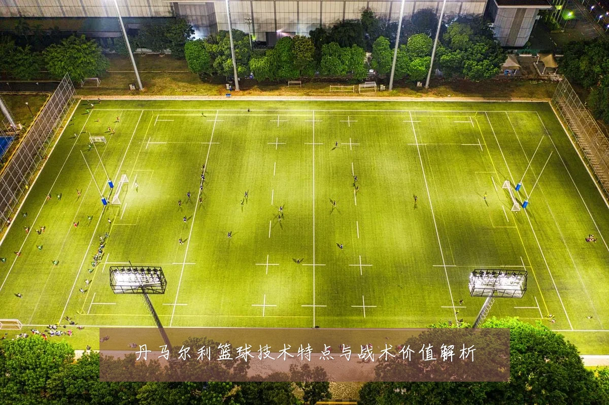 丹马尔利篮球技术特点与战术价值解析