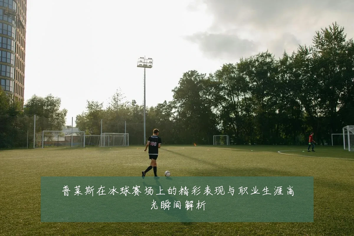 普莱斯在冰球赛场上的精彩表现与职业生涯高光瞬间解析