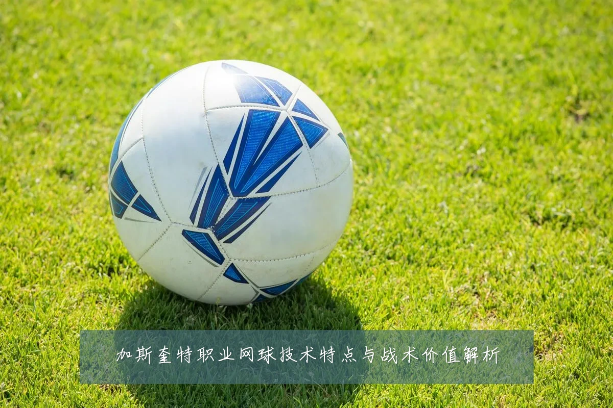 加斯奎特职业网球技术特点与战术价值解析